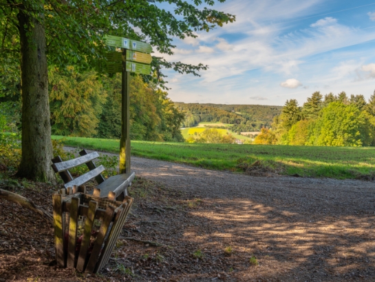 Wanderweg im Odenwald mit Bank und Wegweiser, unbefestigter Weg, Bäume und bewaldeter Hügel im Hintergrund, blauer Himmel.