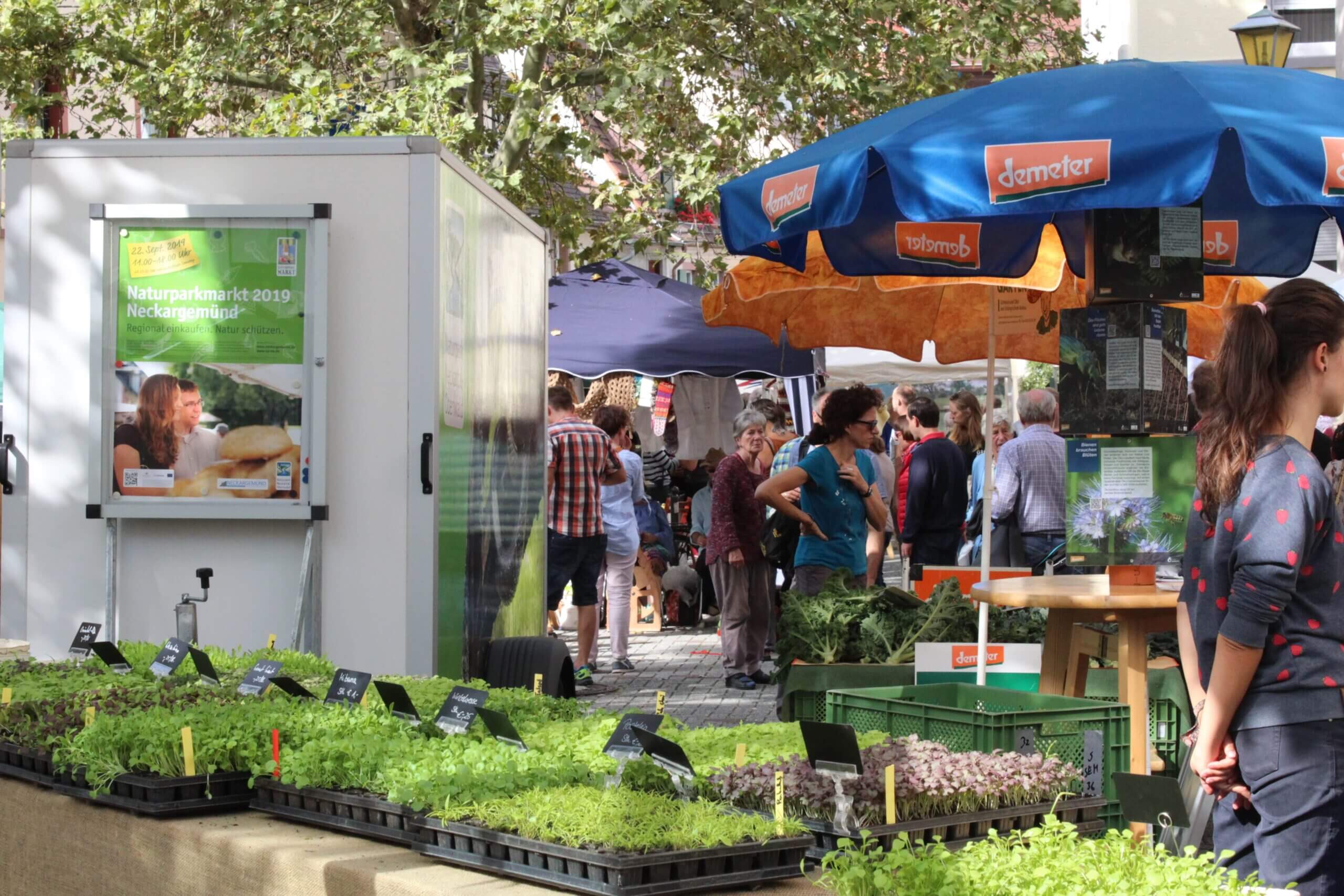 Naturparkmarkt Sternenfels mit Straßenfest & Wilde Sau Produkten