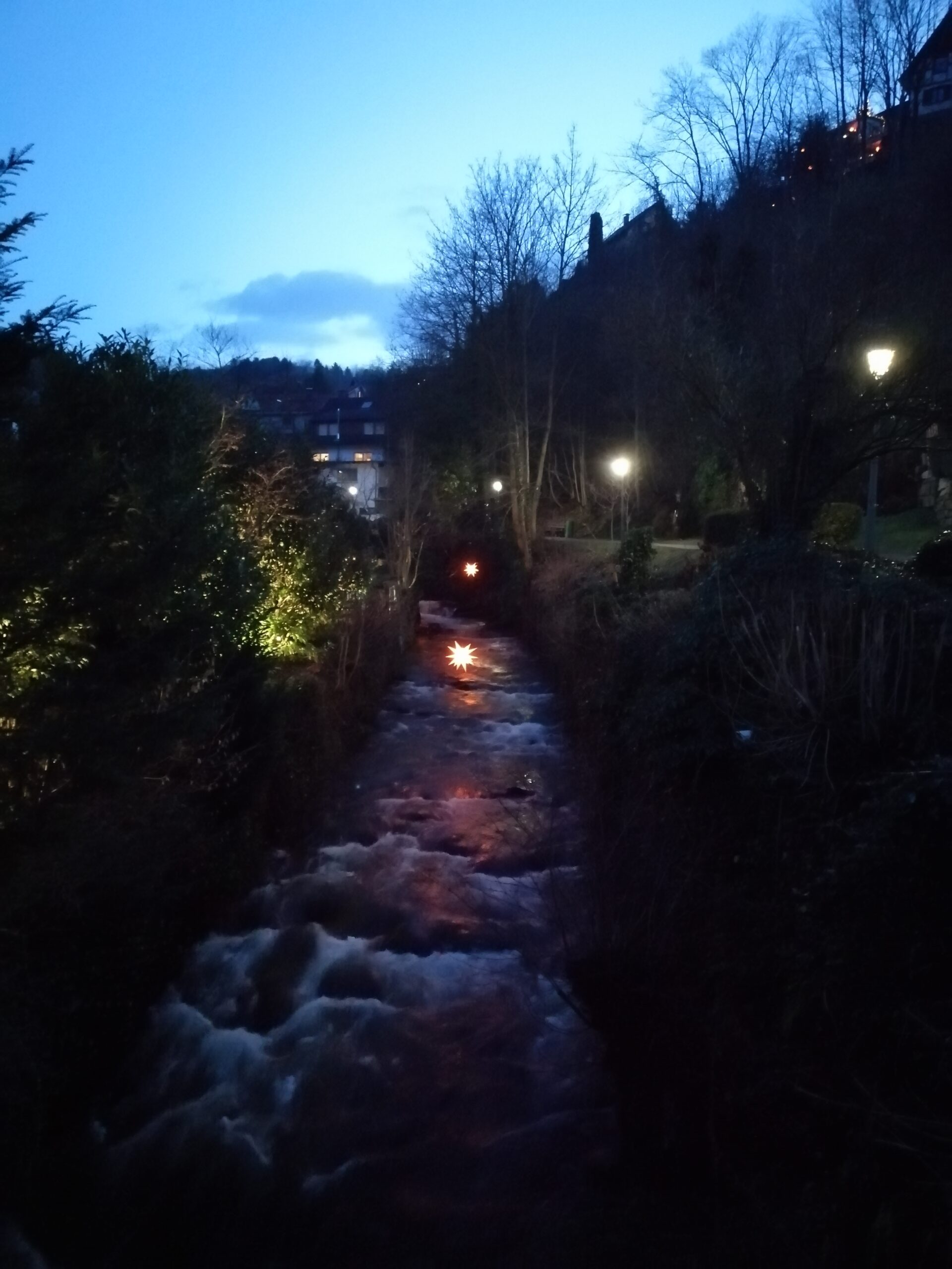 Die Wilde Sau zu Gast beim Weihnachtsmarkt in Bühlertal